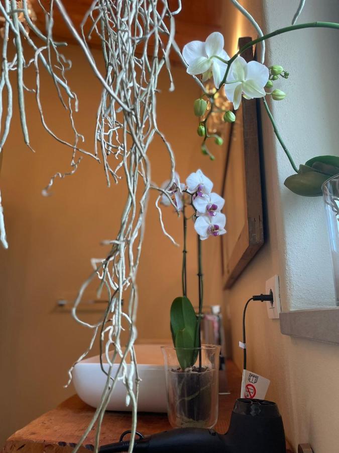 Bed and Breakfast Beb Montefratta Fratta Terme Exterior foto