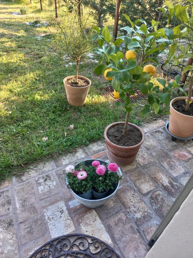 Bed and Breakfast Beb Montefratta Fratta Terme Exterior foto