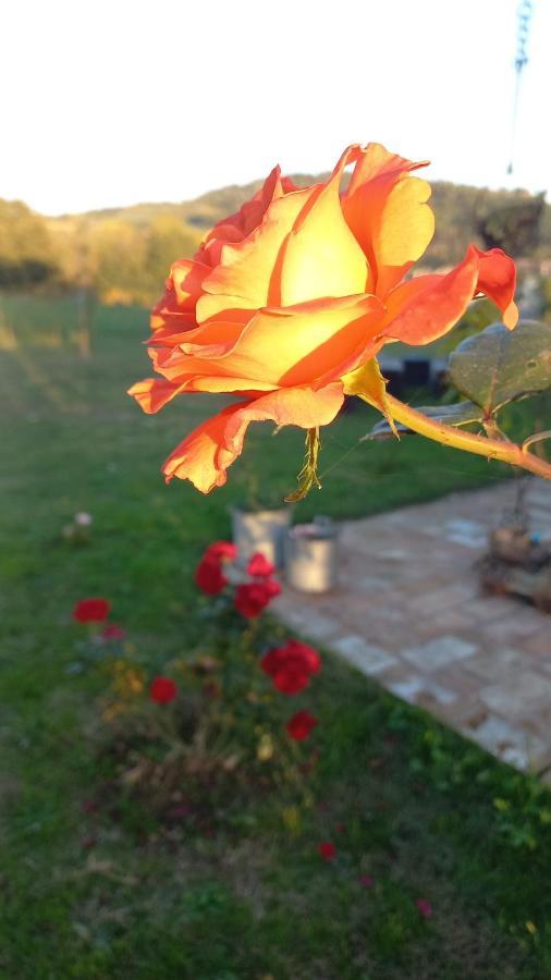 Bed and Breakfast Beb Montefratta Fratta Terme Exterior foto