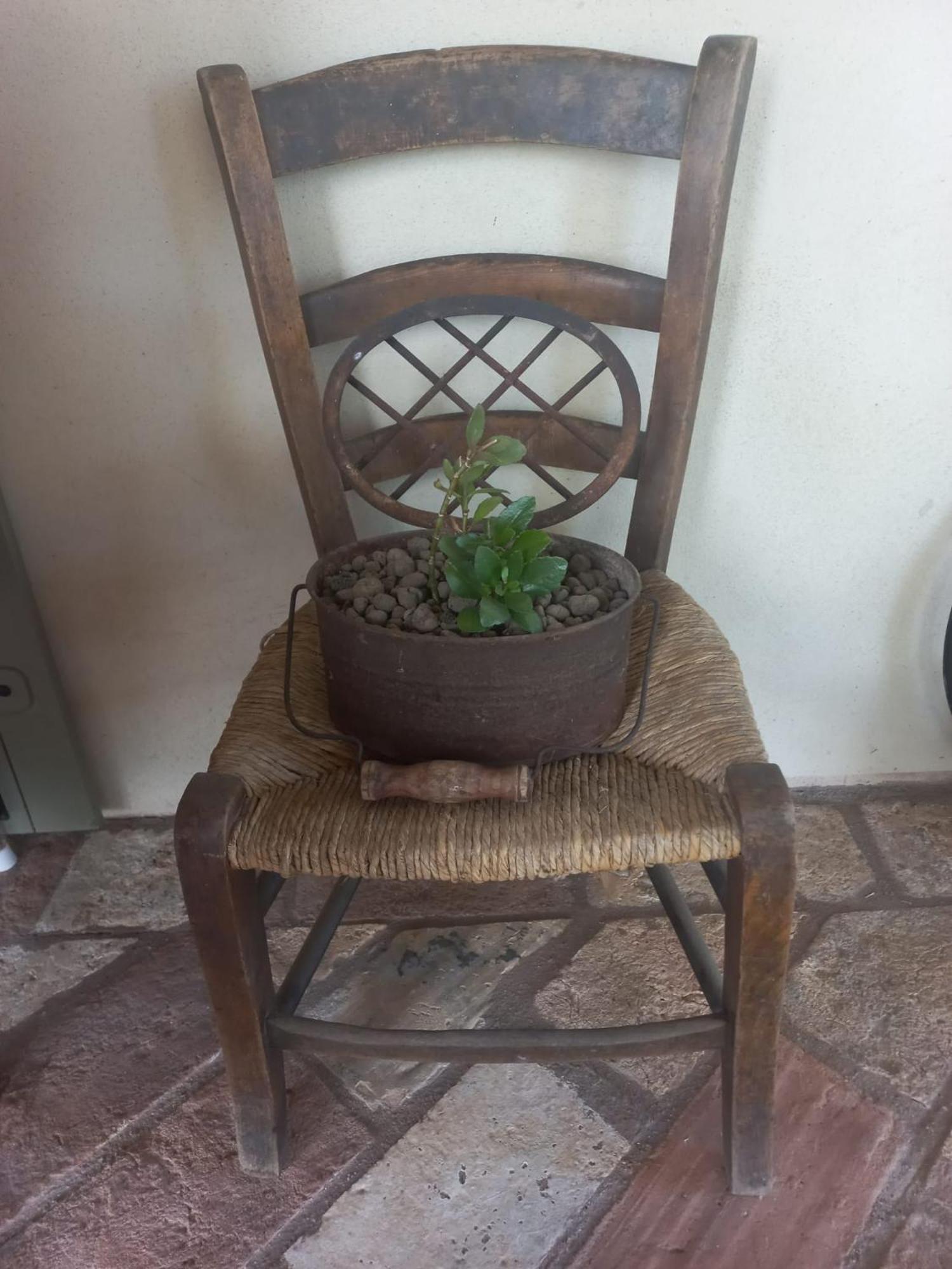 Bed and Breakfast Beb Montefratta Fratta Terme Exterior foto