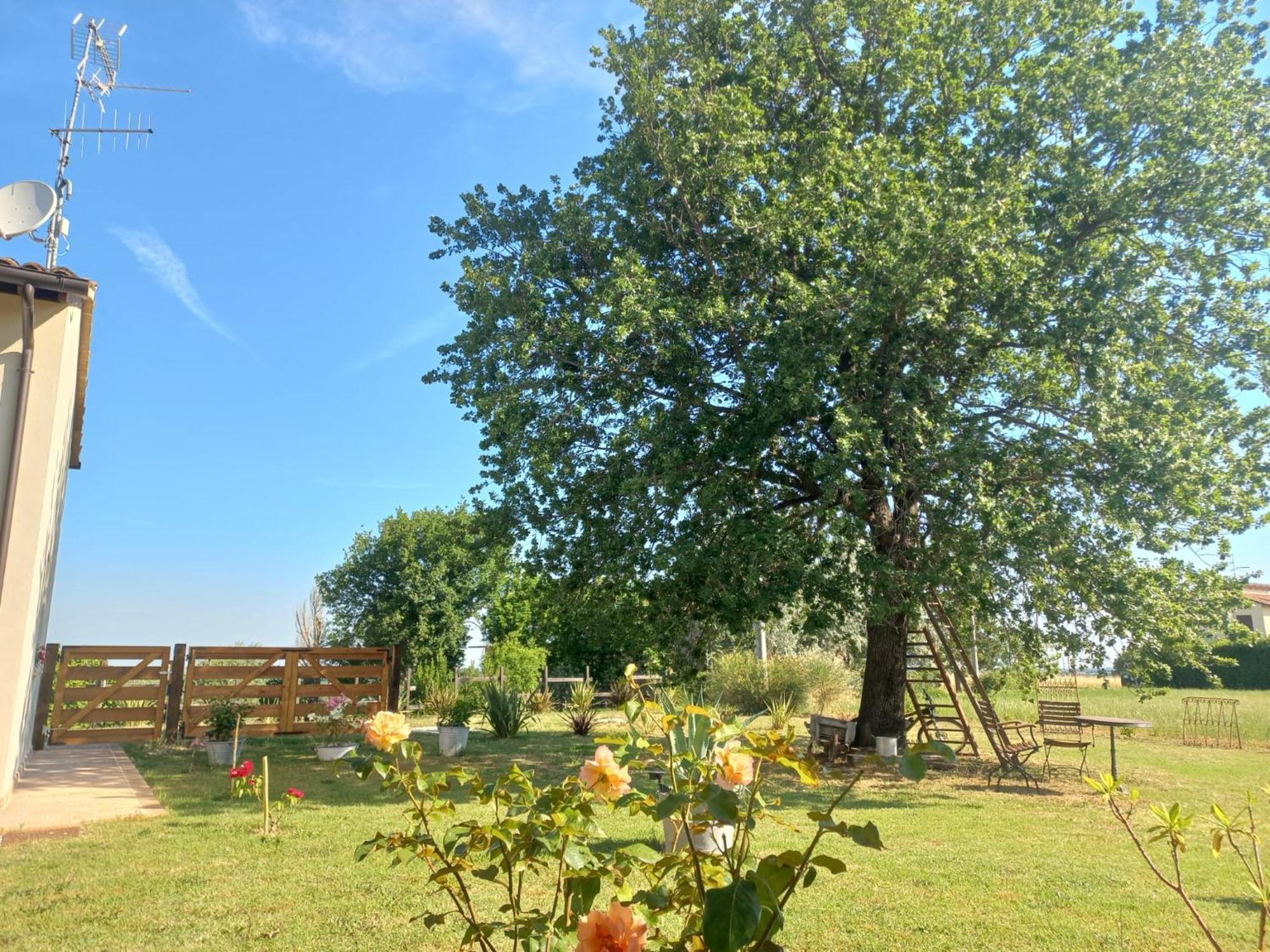 Bed and Breakfast Beb Montefratta Fratta Terme Exterior foto
